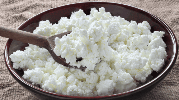 Cottage Cheese on the Carnivore Diet