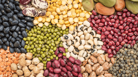 Types of High Alkaline Protein Foods